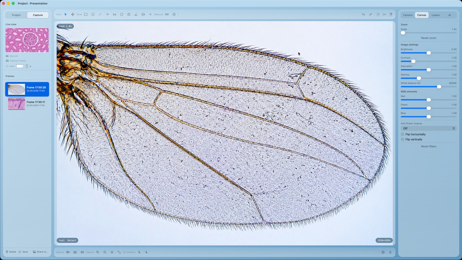 Microscope Camera canvas with live view, tools and image settings